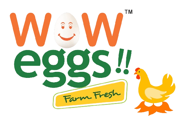 OndevWebs Woweggs Client Image
